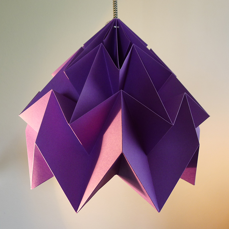 Papilio violet